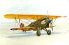 Curtiss P-1A Hawk