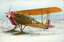 Curtiss P-1B Hawk
