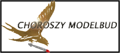 CHOROSZY MODELBUD MODELS